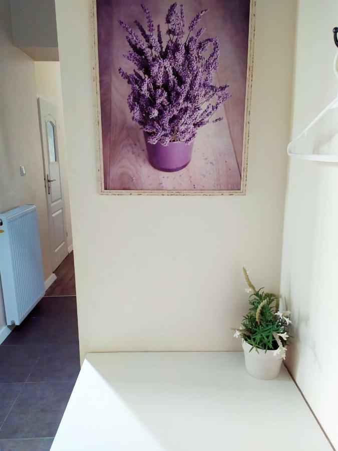 Beautiful Apartment With 1 Bedroom Main Square Krasków Dış mekan fotoğraf